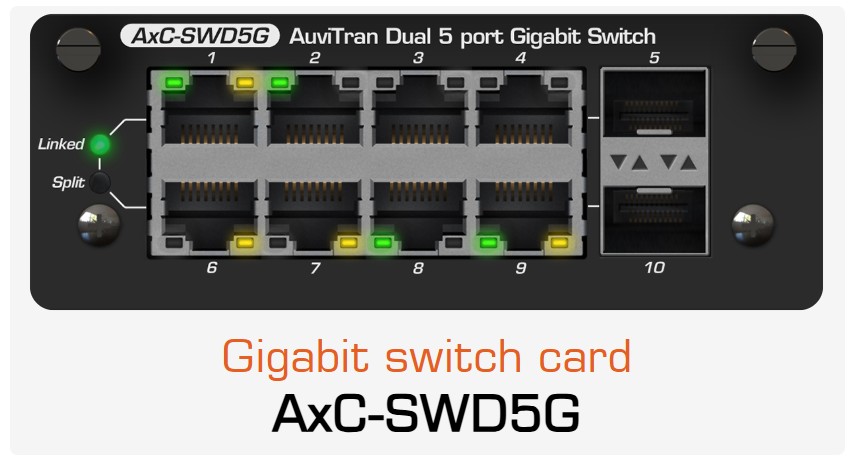 AUVITRAN AxC-SWD5G Dual Switch Card mit 10 Gigabit-Ports